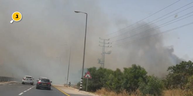 שריפת קוצים