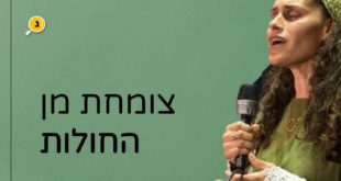 צומחת מן החולות