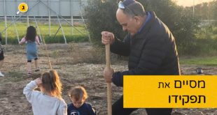 אלי אסקוזידו
