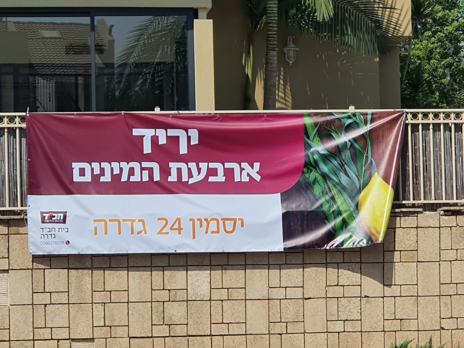 ארבעת המינים גם בבית חבד