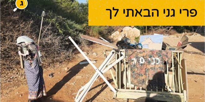 פרי גני הבאתי לך תערוכה בגבעת ברנר