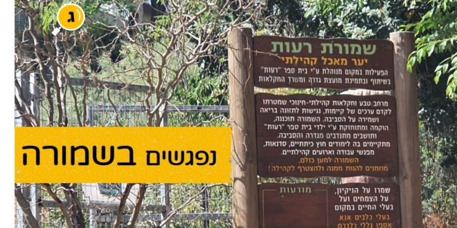 נפגשים בשמורה