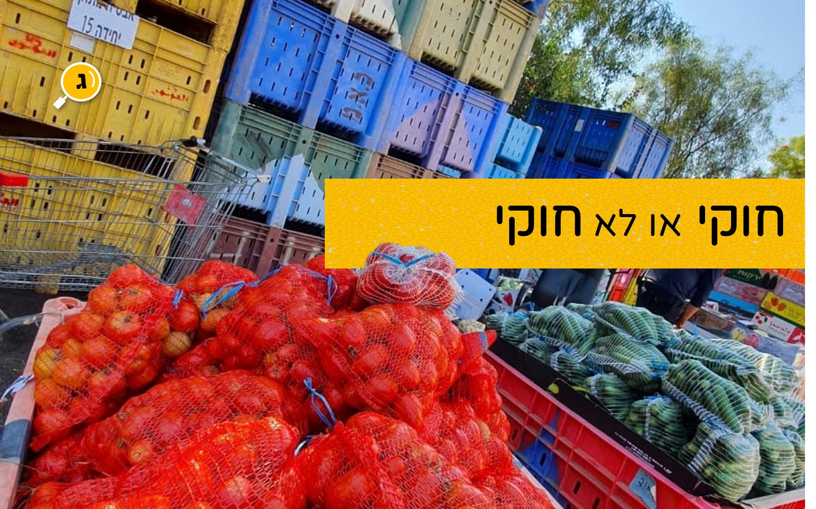 חוקי או לא חוקי קירשנר