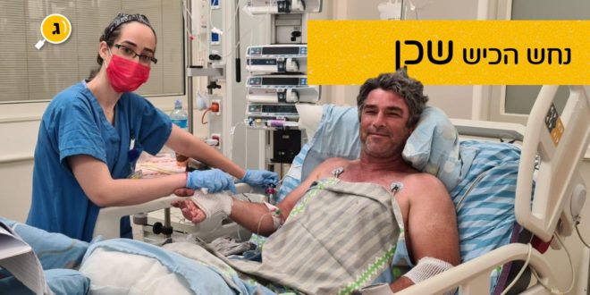 נחש הכיש שכן