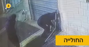 החולייה