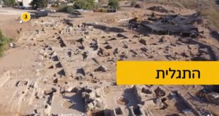 .תגלית ביבנה