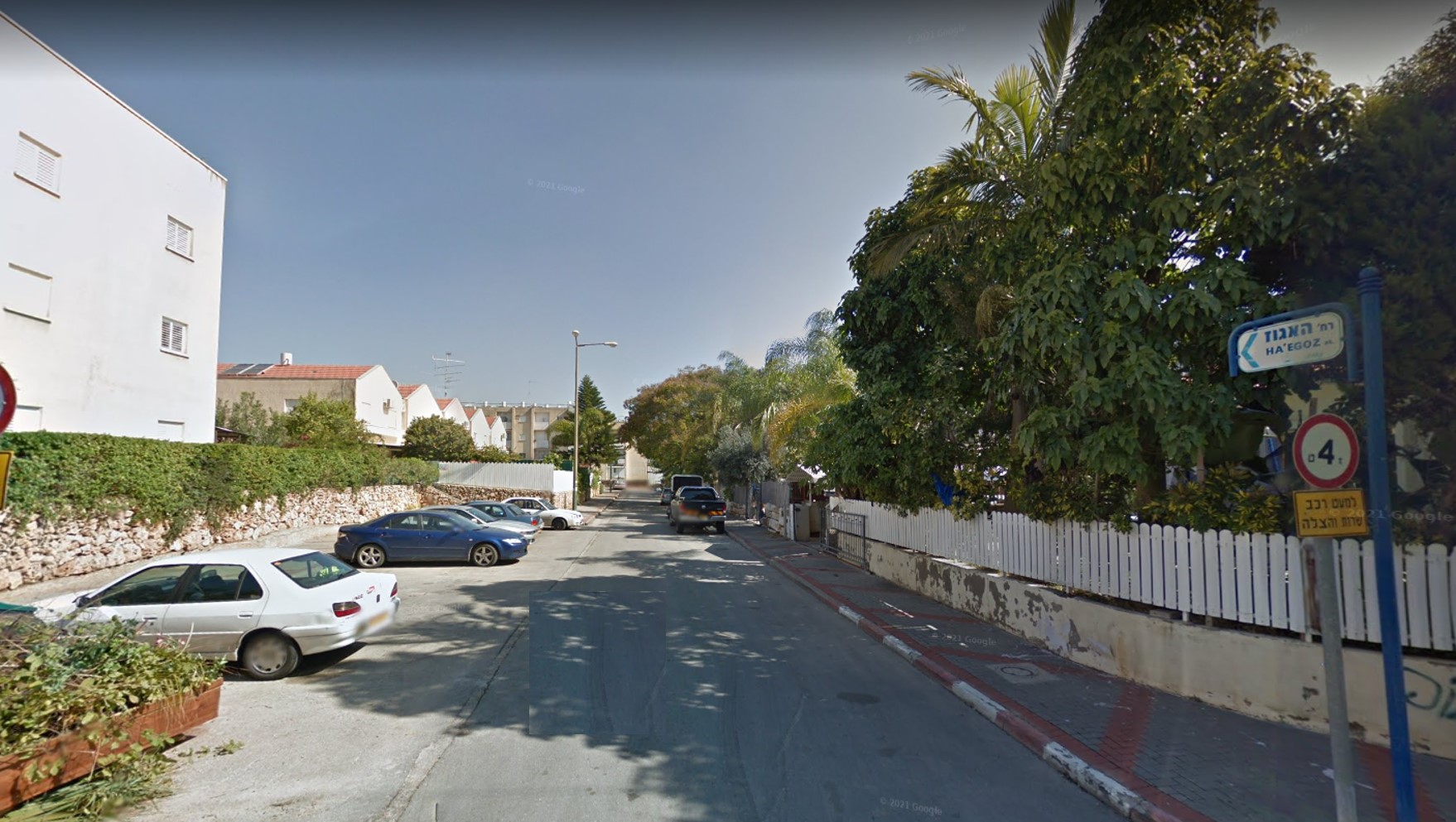 רחוב האגוז גדרה