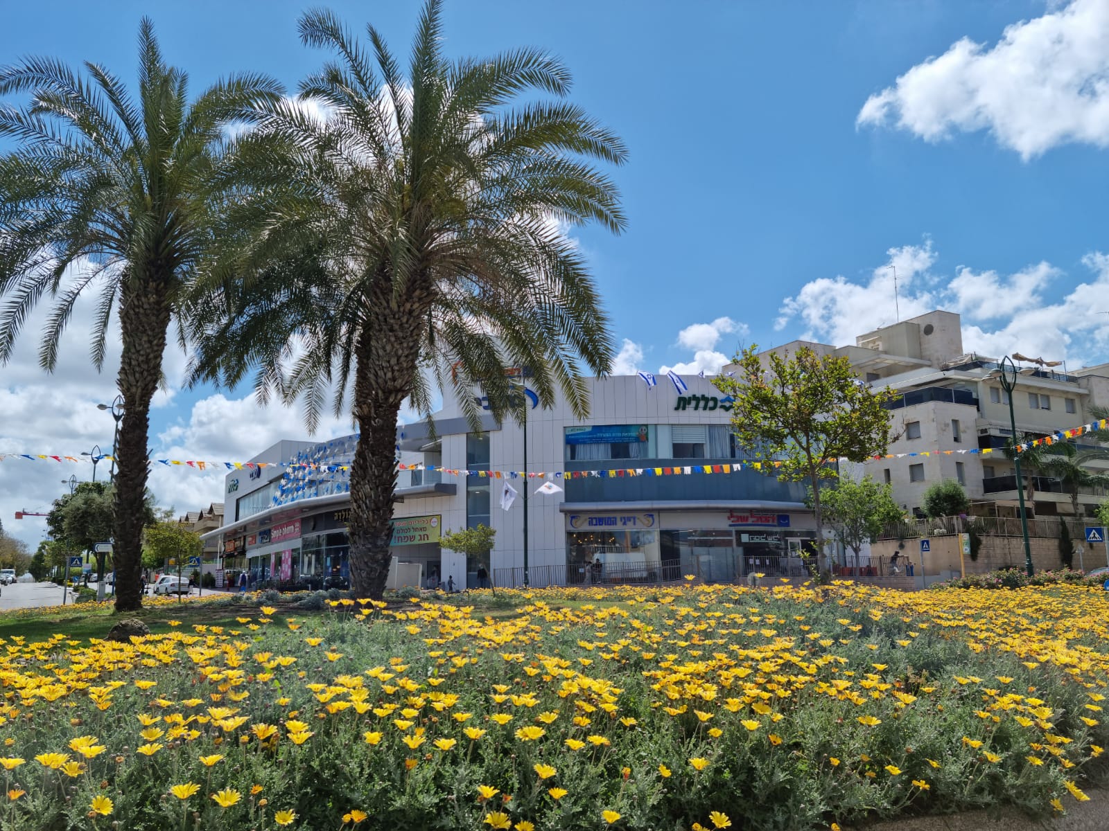 מרכז בליליוס מדוגלל
