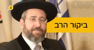 הר דוד לאו
