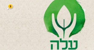 עלה מצמיחים תקווה