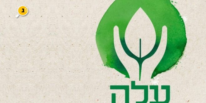 עלה מצמיחים תקווה