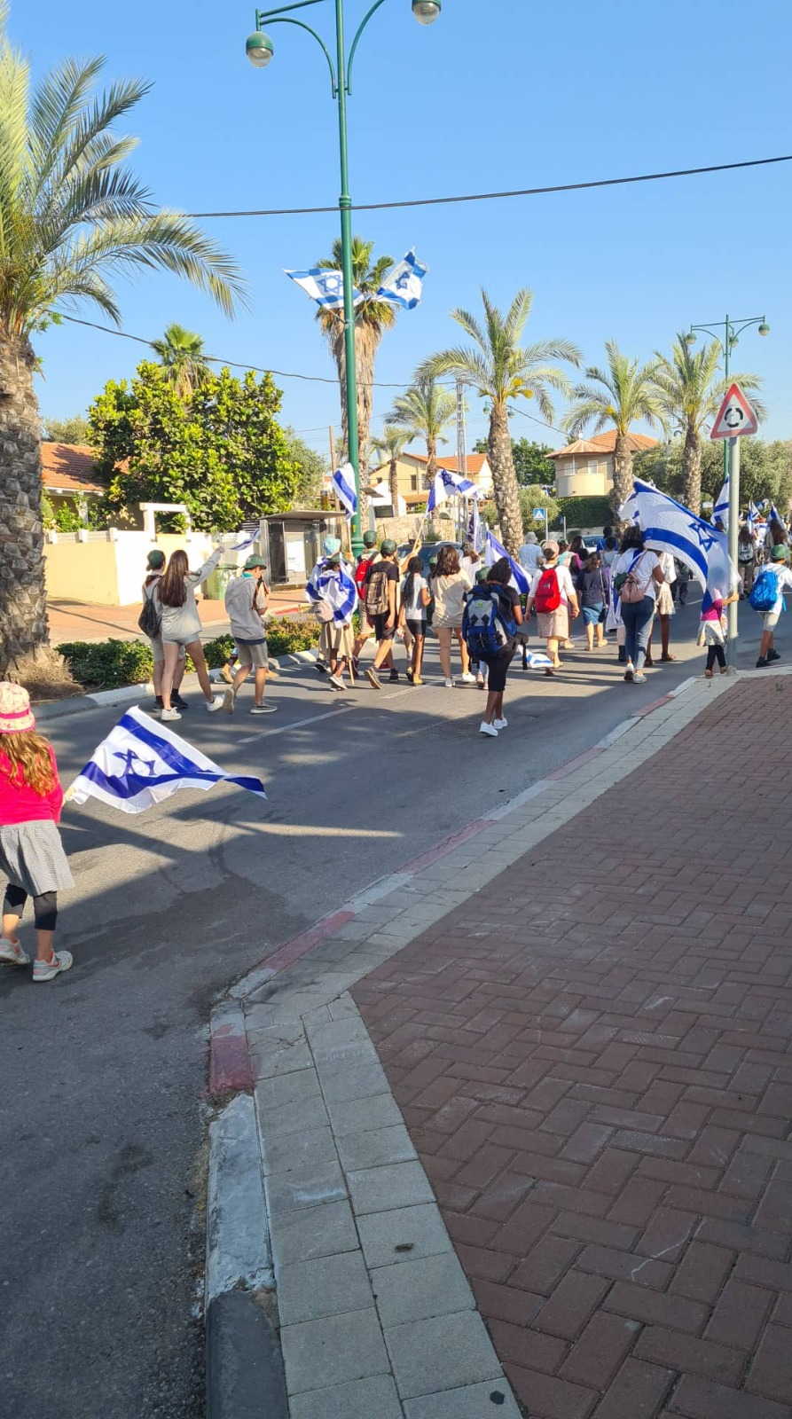 צעדת הדגלים
