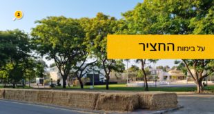 על בימות החציר