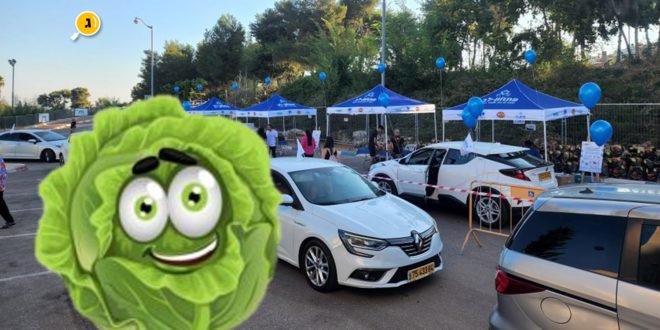 פתחון לב וכרוב