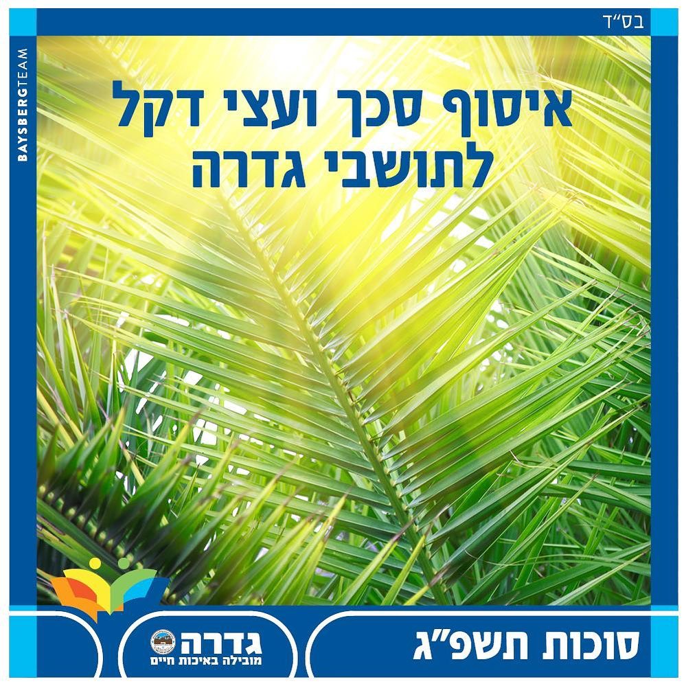 חלוקת סכך