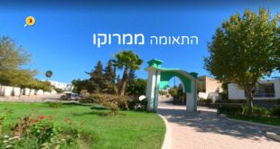 התאומה ממרוקו