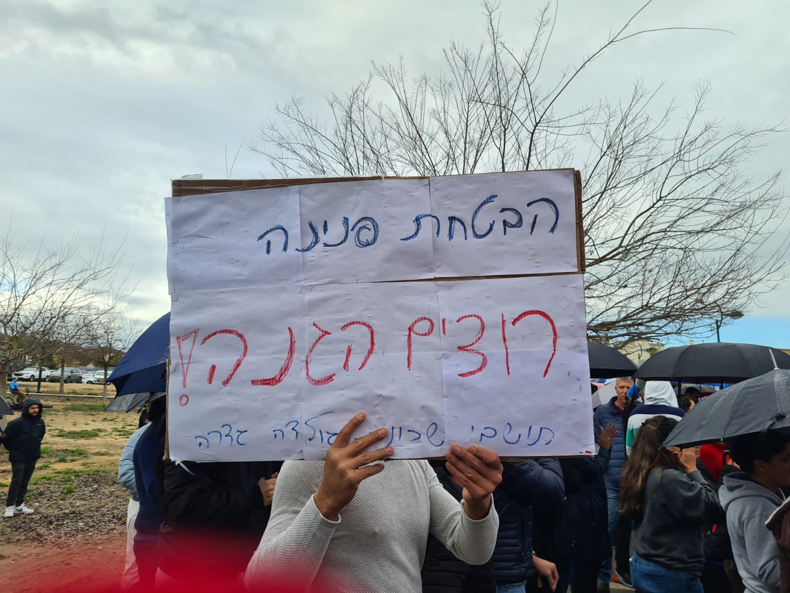 הבטחת פנינה רוצים הגנה