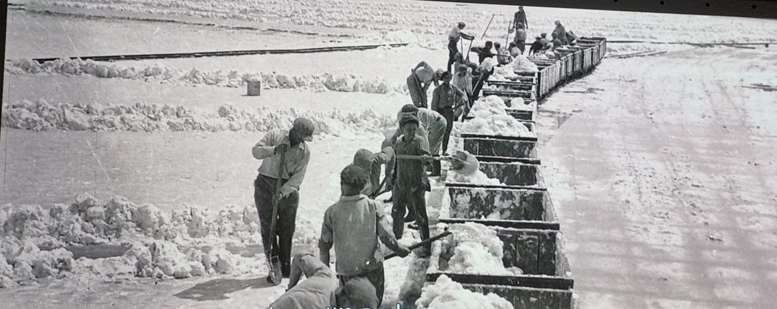 מרכז המבקרים ים המלח-- רכבת המלח