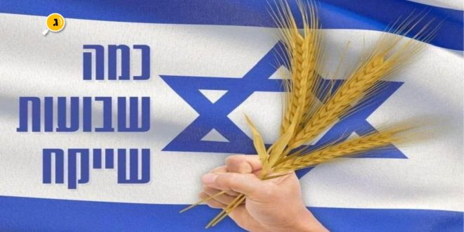 כמה שבועות שייקח