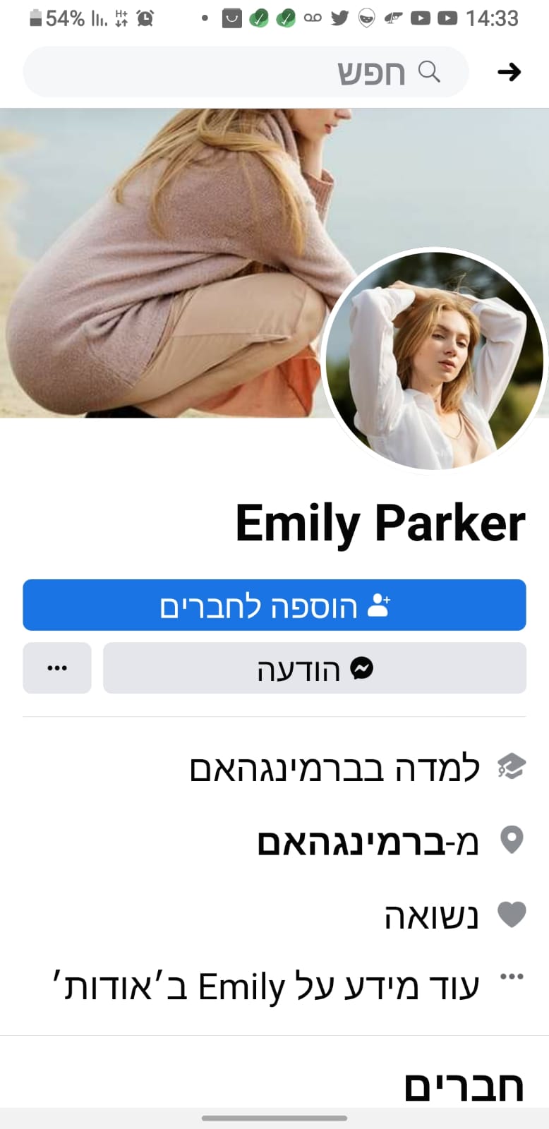 פרופיל מזויף בוט 