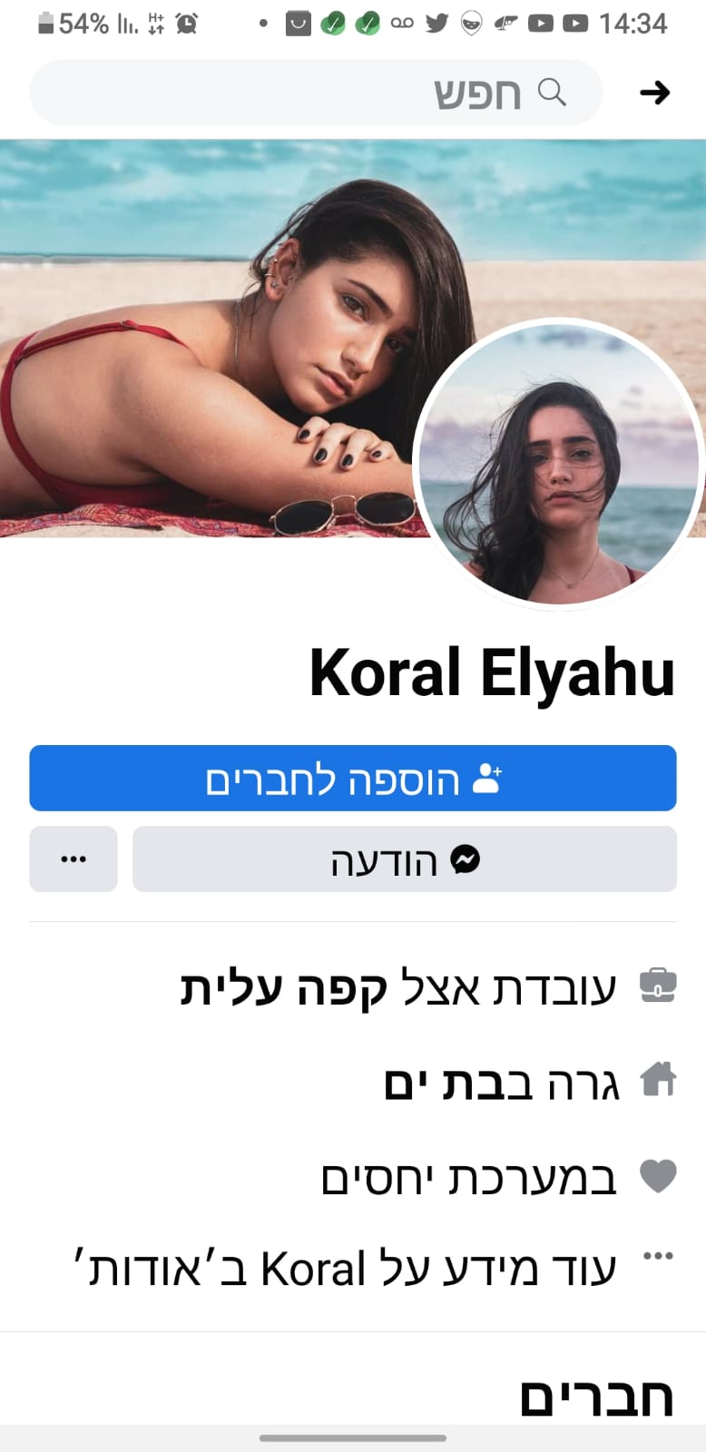 פרופיל מזויף בוט