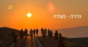 ערד מצדה