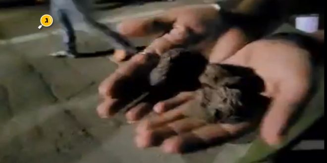 אבנים בהפגנה