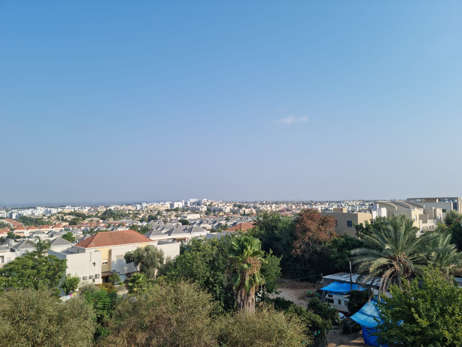 תצפית שיר כהן