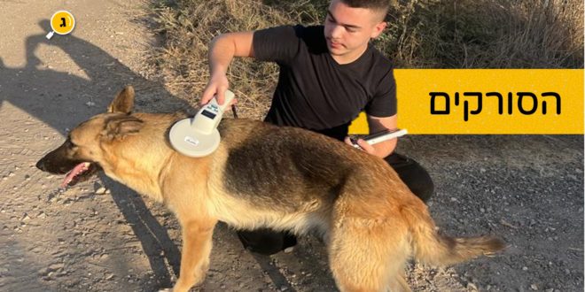 הסורקים פרויקט הכלבים של תמיר שמילוביץ