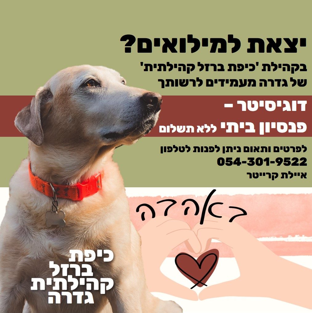 פנסיון כלבים