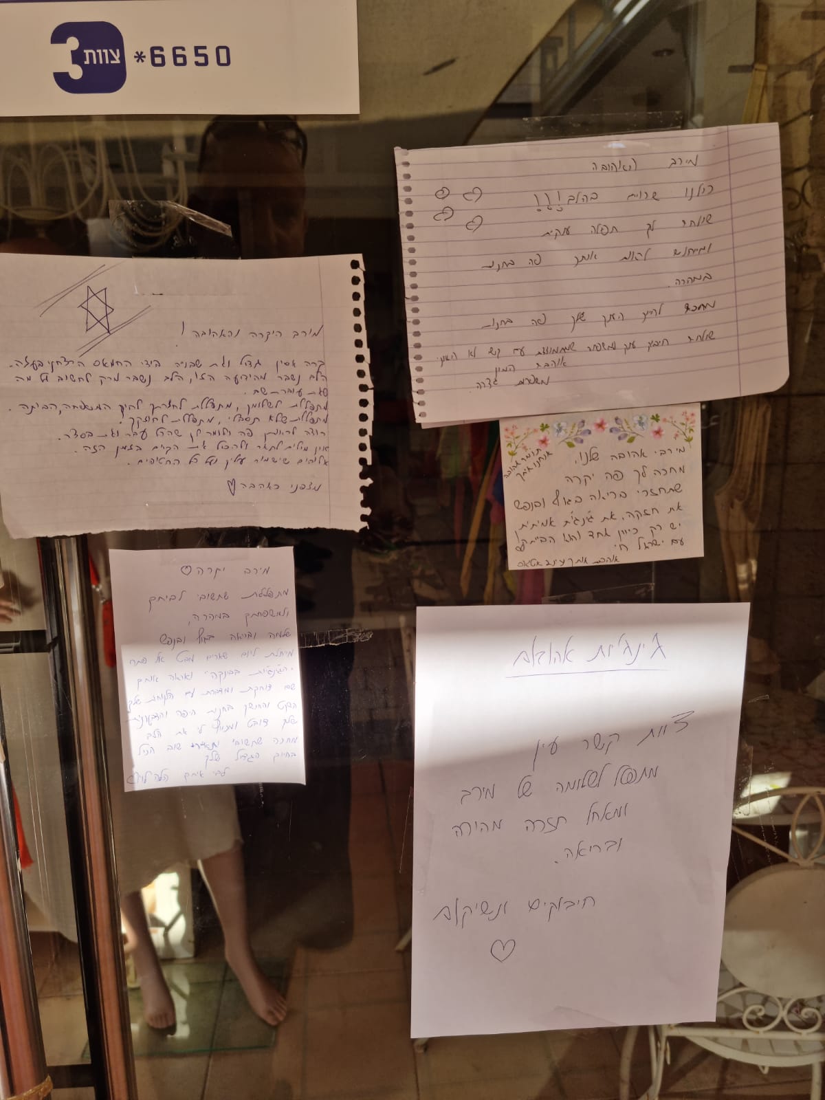 מכתבי געגוע למירב טל