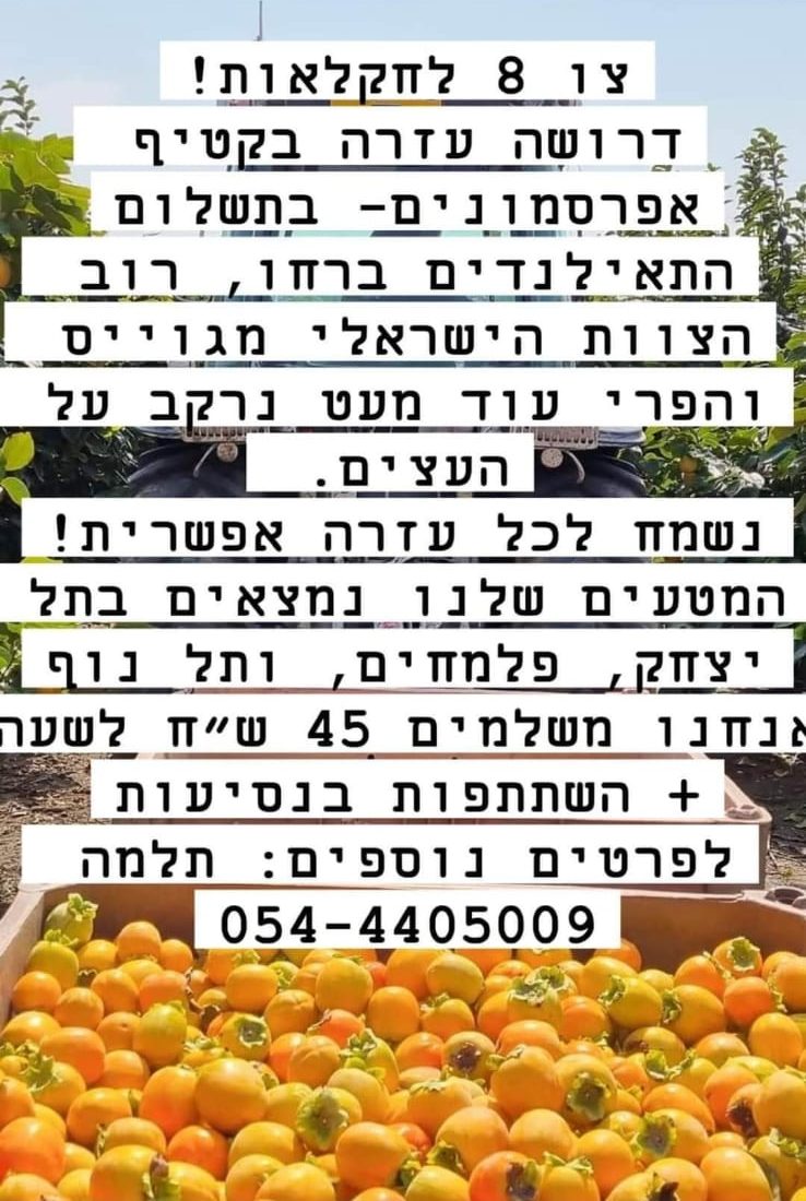 חקלאות