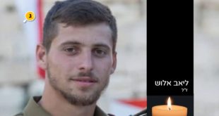 ליאב אלוש זל