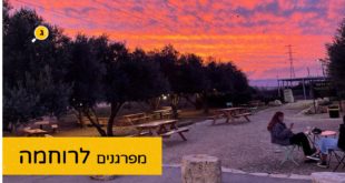 מפרגנים לרוחמה
