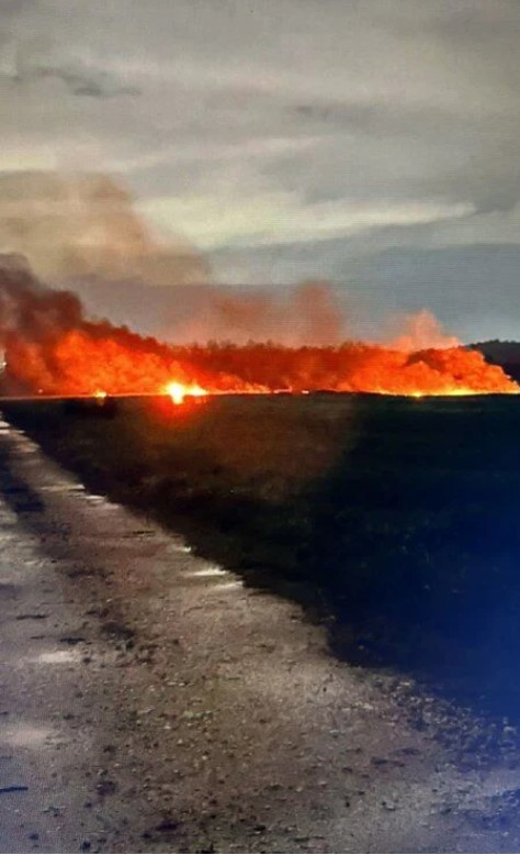 כטממ בכפר מרדכי