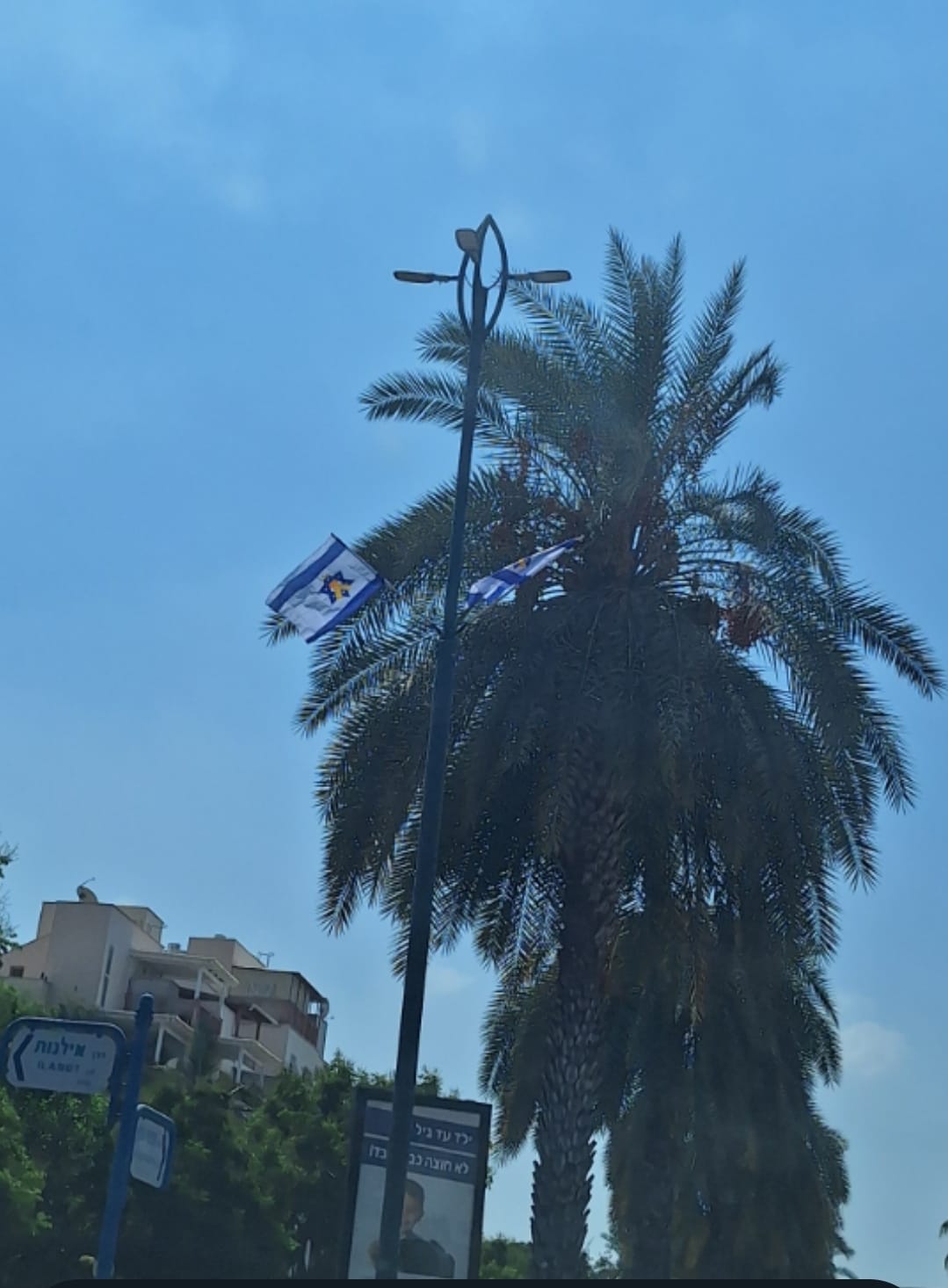 דגל צהוב