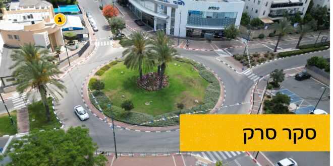 סקר סרק