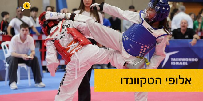 אלופי הטקוונדו