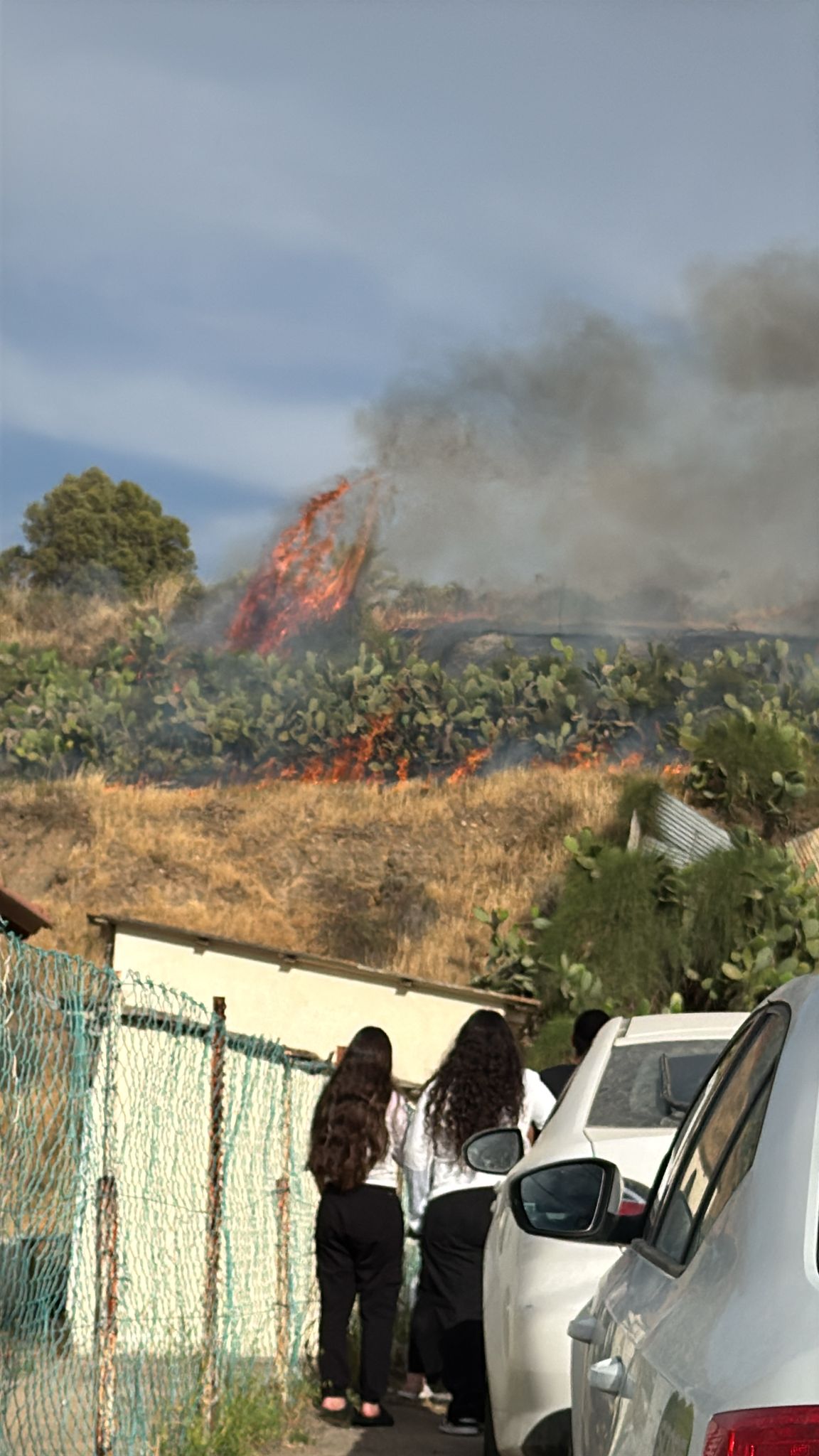 שריפה בתל קטרה