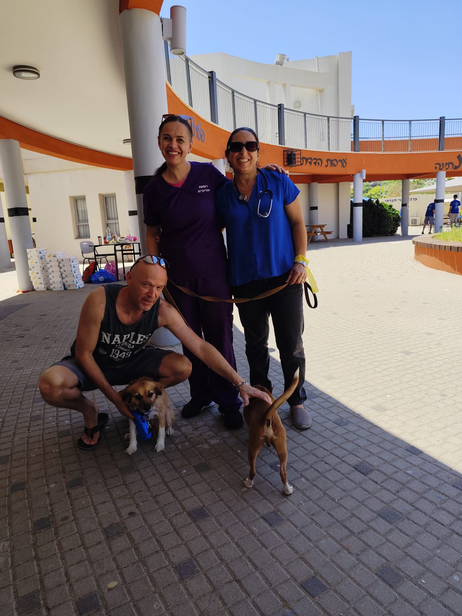 יום אימוץ כלבים