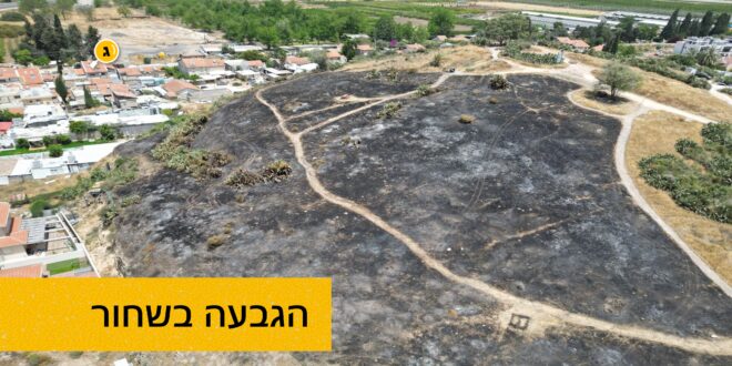 הגבעה בשחור