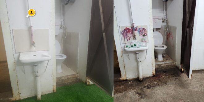 מייקאובר כלביא