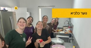 טרסה
