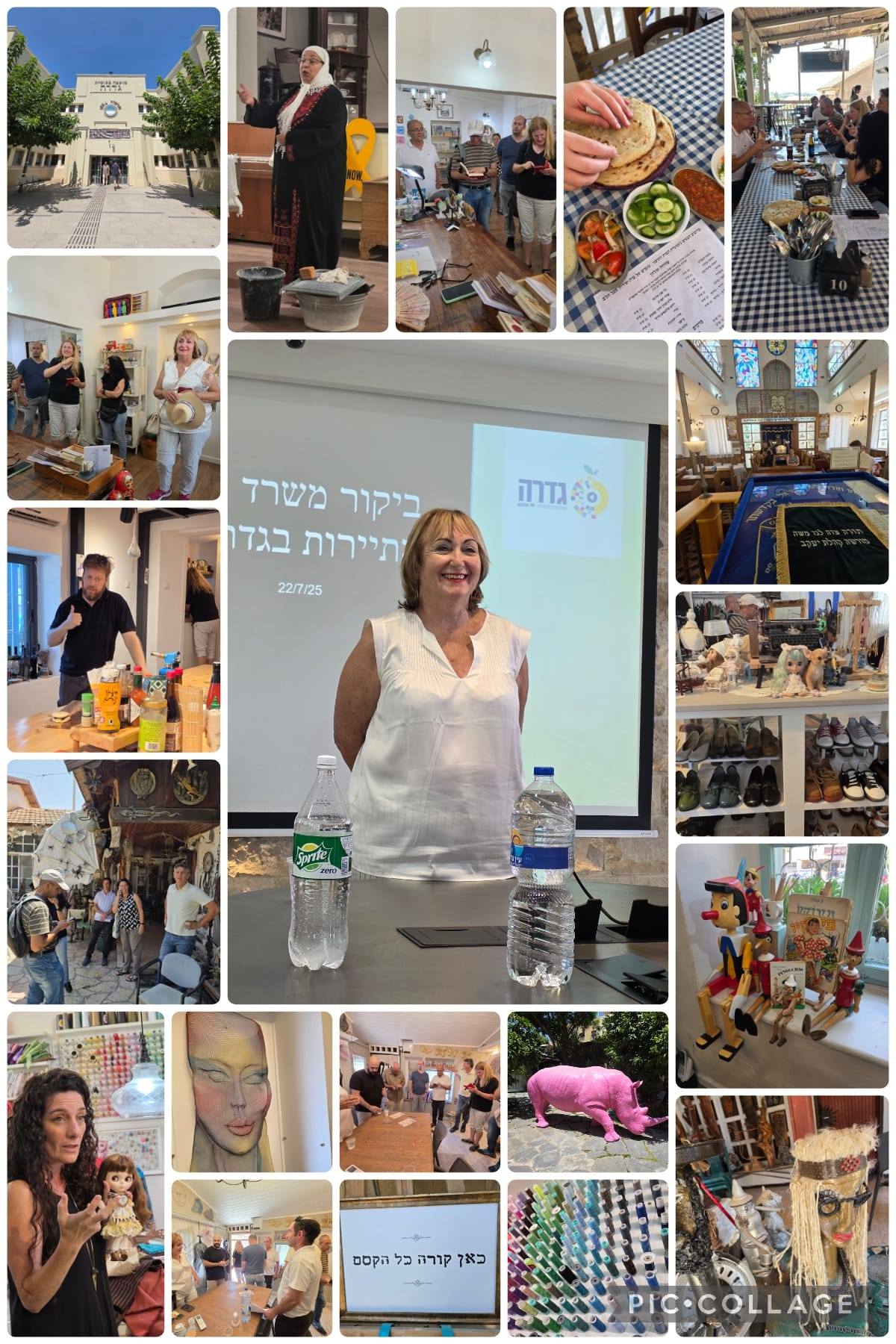 מלי לוי