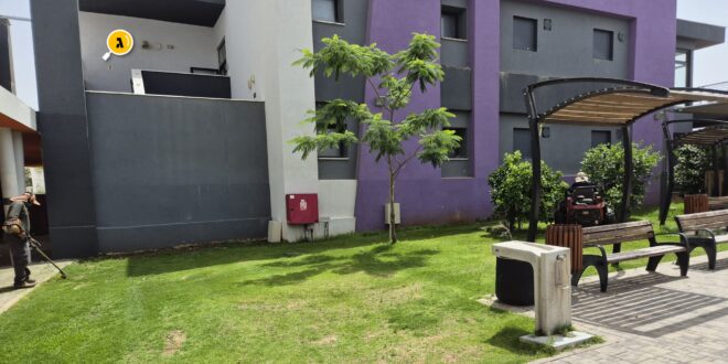 בית הספר רות