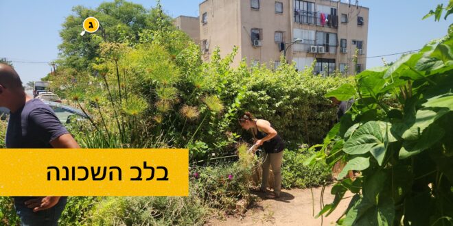 בגינה הקהילתית בלב השכונה