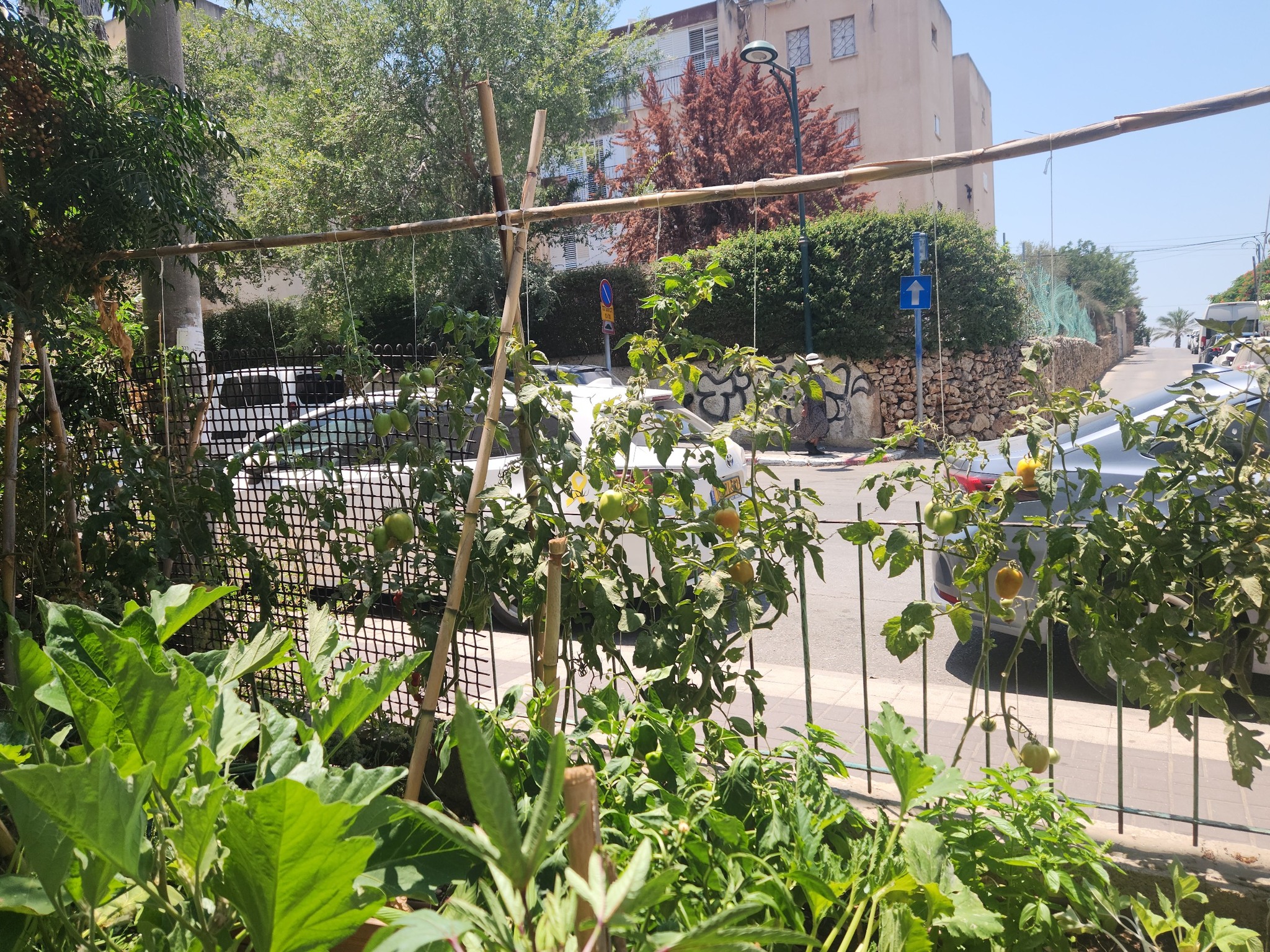 בגינה הקהילתית