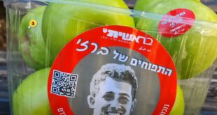 התפחוים של ברזי