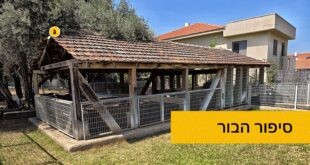 סיפור הבור