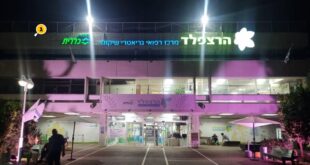 הרצפלד ורוד